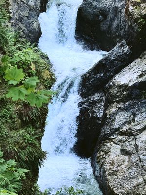 Twin Falls