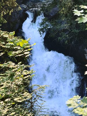 Twin Falls