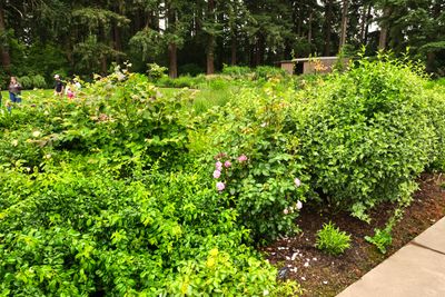 Leach Botanical Garden