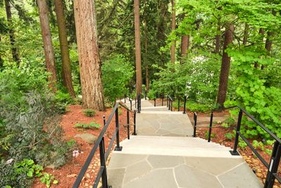 Leach Botanical Garden
