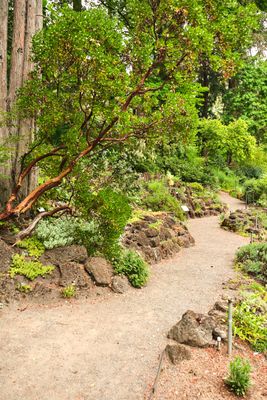 Leach Botanical Garden