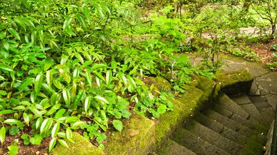 Leach Botanical Garden