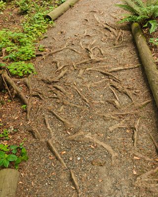 Leach Botanical Garden
