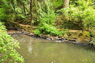 Leach Botanical Garden