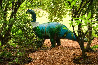 Leach Botanical Garden