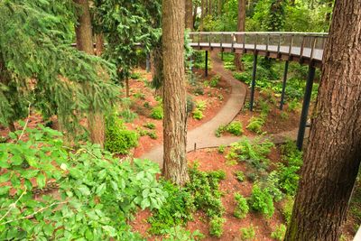 Leach Botanical Garden