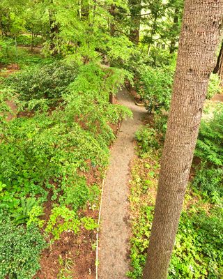 Leach Botanical Garden