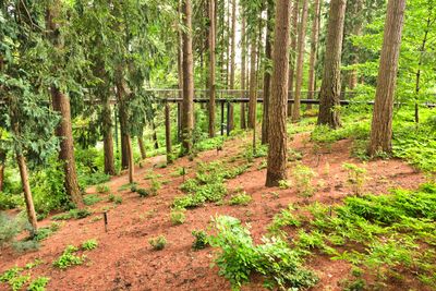 Leach Botanical Garden