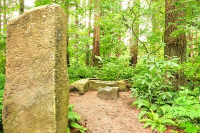 Leach Botanical Garden