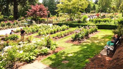 International Rose Test Garden