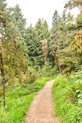 Hoyt Arboretum