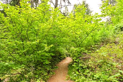 Hoyt Arboretum