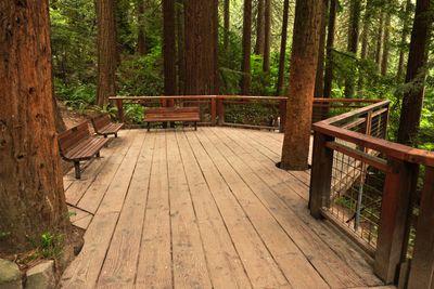 Hoyt Arboretum