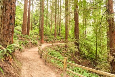 Hoyt Arboretum