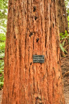 Hoyt Arboretum