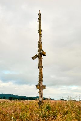 Baskett Slough National Wildlife Refuge