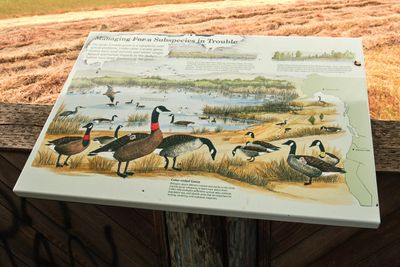 Baskett Slough National Wildlife Refuge