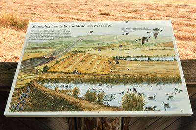 Baskett Slough National Wildlife Refuge