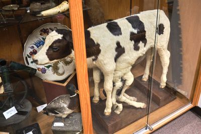 Mount Angel Abbey Museum