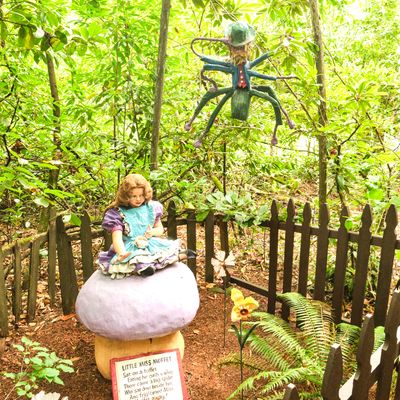 Enchanted Forest