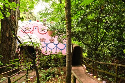 Enchanted Forest