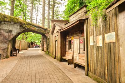 Enchanted Forest
