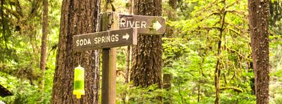 Cascadia Soda Springs
