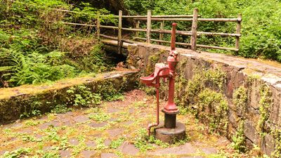 Cascadia Soda Springs