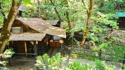 Oregon Vortex