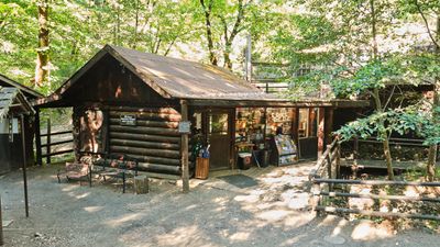 Oregon Vortex