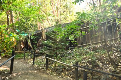 Oregon Vortex