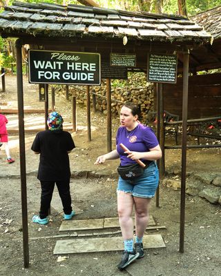 Oregon Vortex