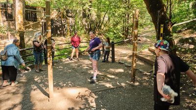 Oregon Vortex