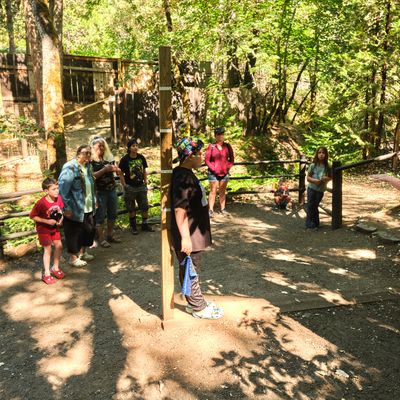 Oregon Vortex
