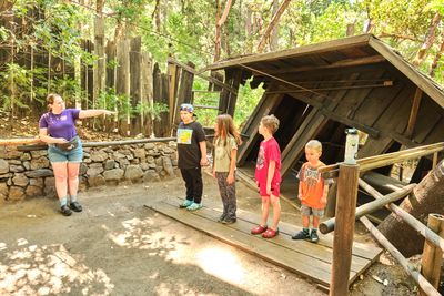 Oregon Vortex