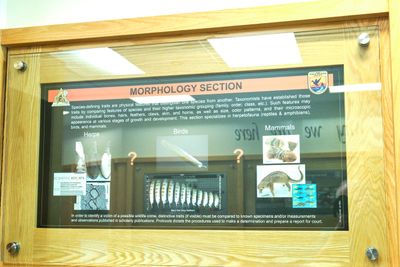 U.S. Fish & Wildlife Service Forensics Laboratory