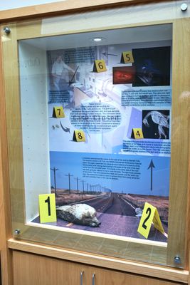 U.S. Fish & Wildlife Service Forensics Laboratory