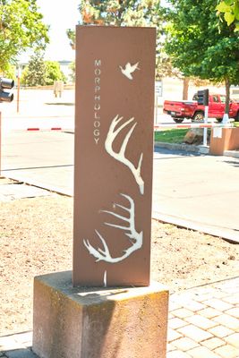 U.S. Fish & Wildlife Service Forensics Laboratory