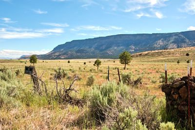 Abert Rim