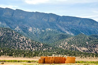 Abert Rim