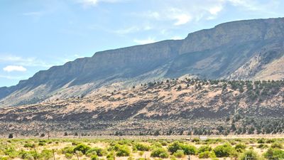 Abert Rim