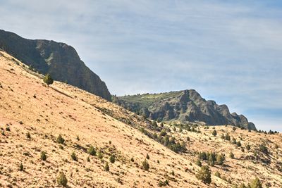 Abert Rim