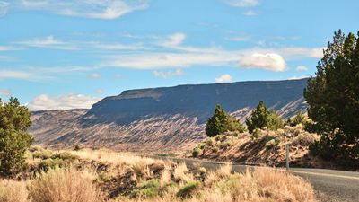 Abert Rim
