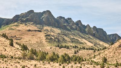 Abert Rim