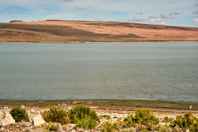 Lake Abert