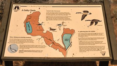 Lake Abert
