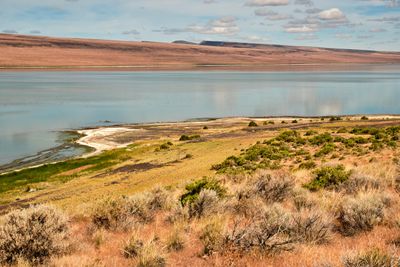 Lake Abert