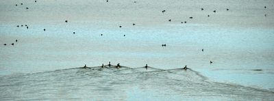 Lake Abert