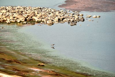 Lake Abert