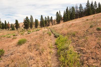 Fremont National Recreation Trail